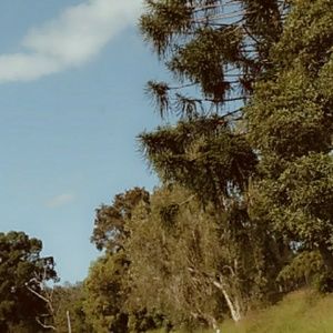 Meet your Posher, Daisy